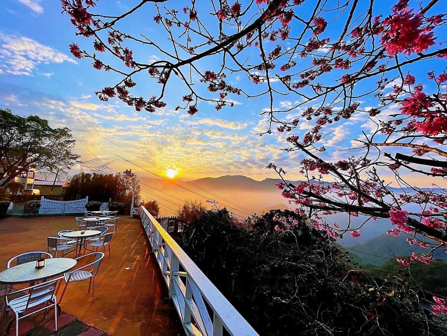 Alishan Tea Garden B&B Fenchihu Eksteriør billede