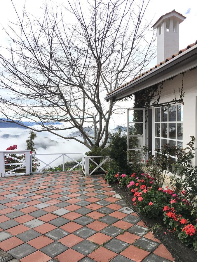 Alishan Tea Garden B&B Fenchihu Eksteriør billede
